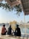 Three individuals sit cross-legged beside a reflective pool, gazing at a majestic, gold-covered temple across the water. The temple is surrounded by a marble walkway, and lush greenery hangs from an overhang above.