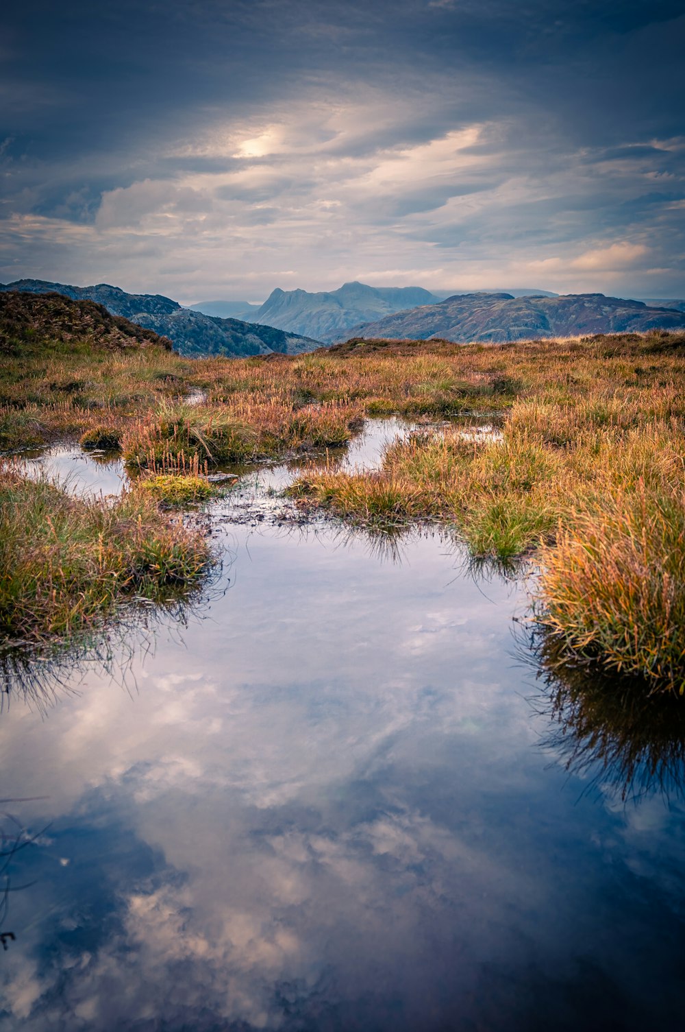 a small stream running through a lush green field