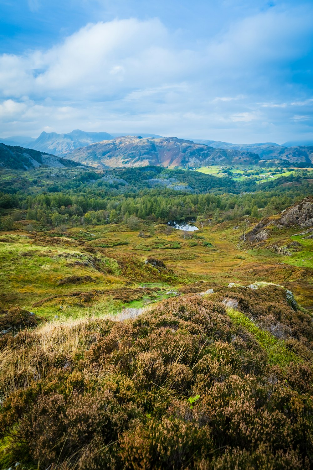 a view of a grassy field with mountains in the background