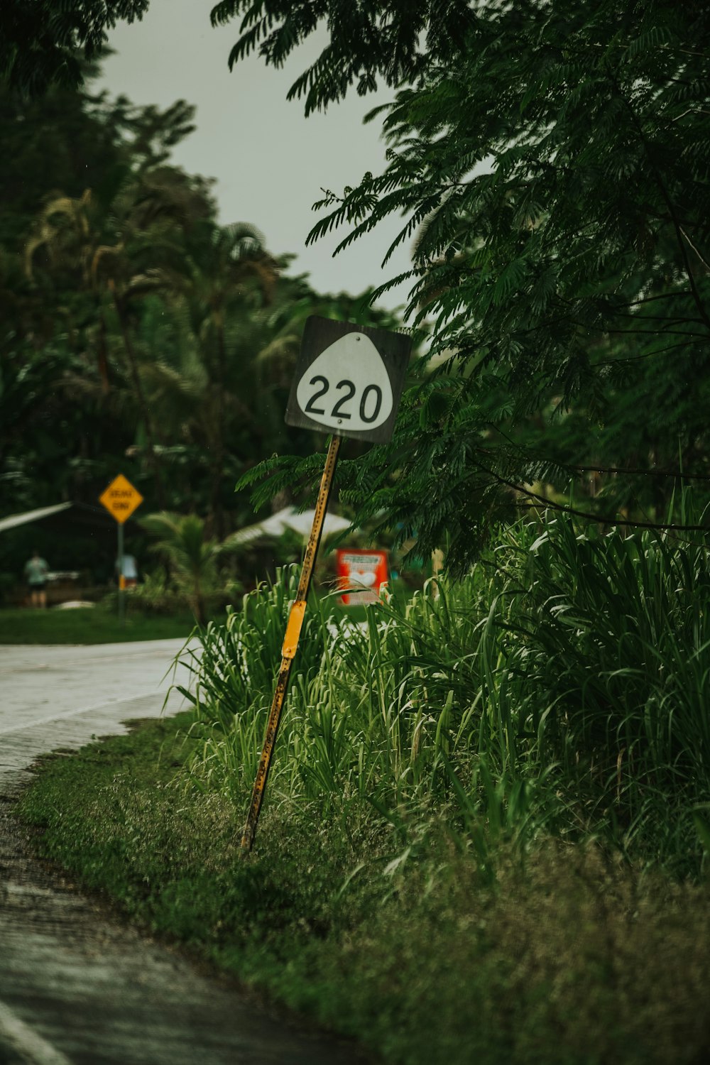 a street sign sitting on the side of a road