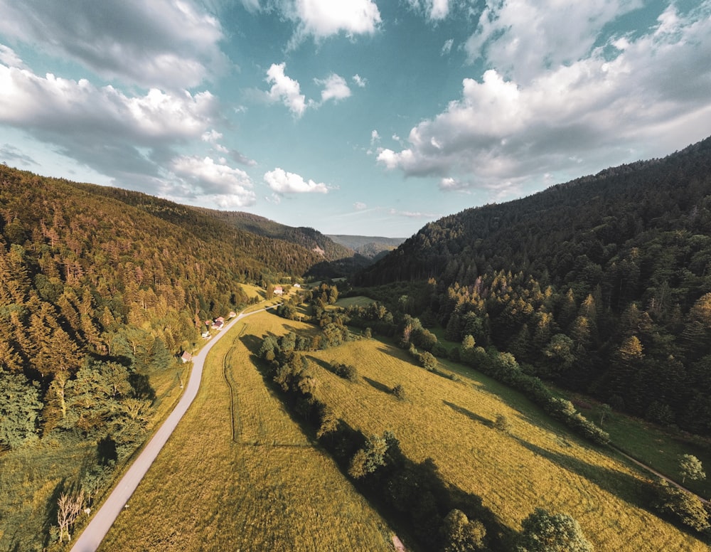 an aerial view of a road in the middle of a forest