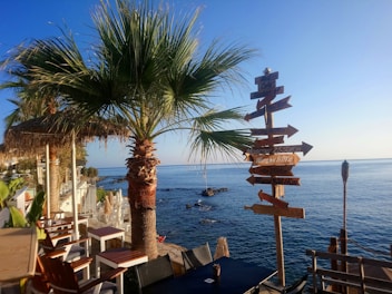 A scenic seaside view with a palm tree and a wooden signpost displaying various city names and distances. The clear blue ocean extends to the horizon under a bright blue sky. Outdoor seating with wooden chairs and tables is arranged along the waterfront.