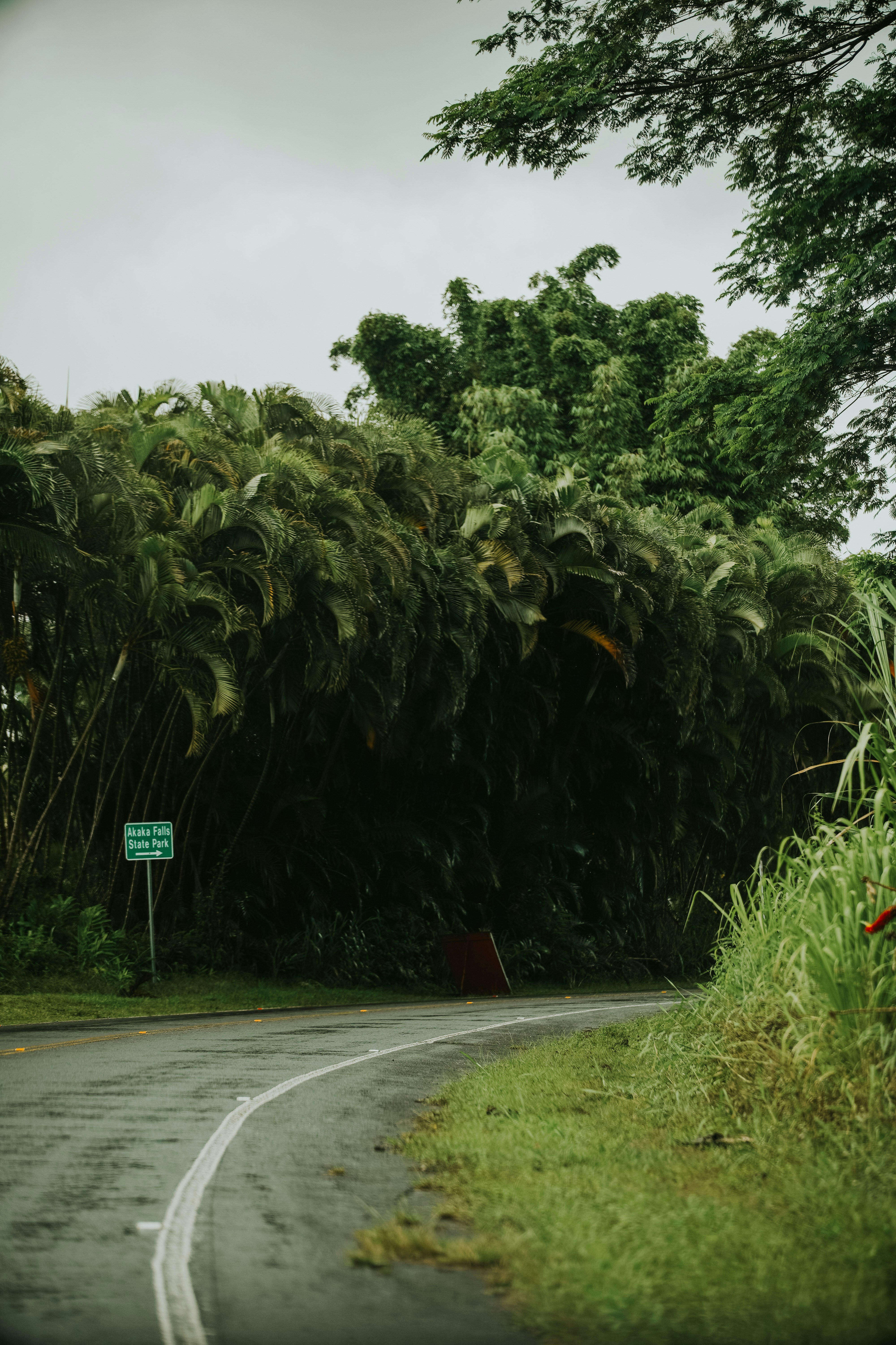 a green street sign sitting on the side of a road