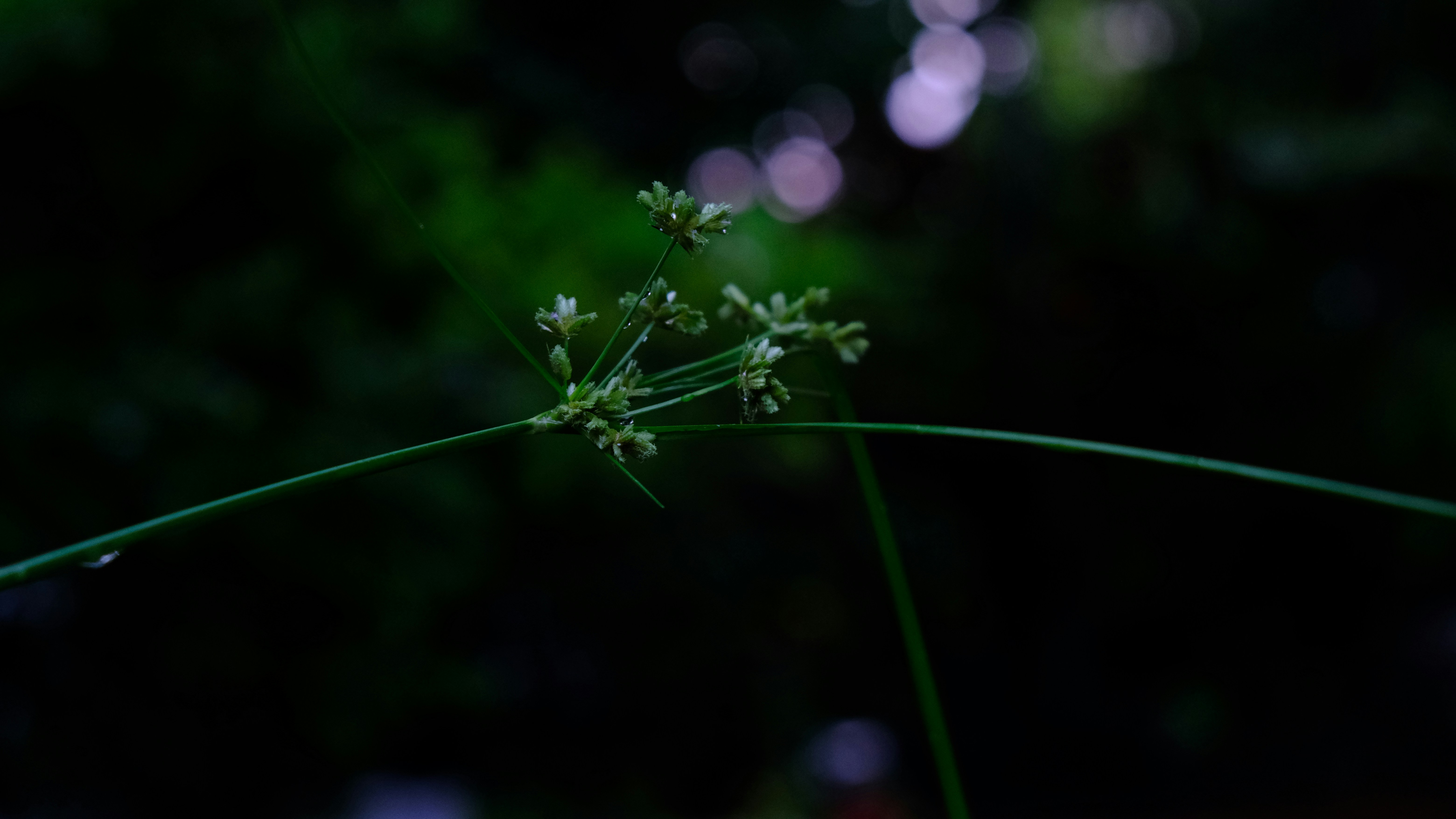 Photo by manhterry93