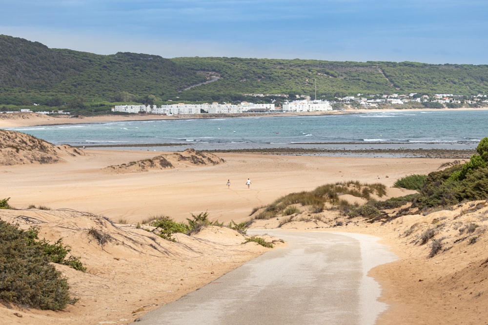 a sandy beach next to a body of water