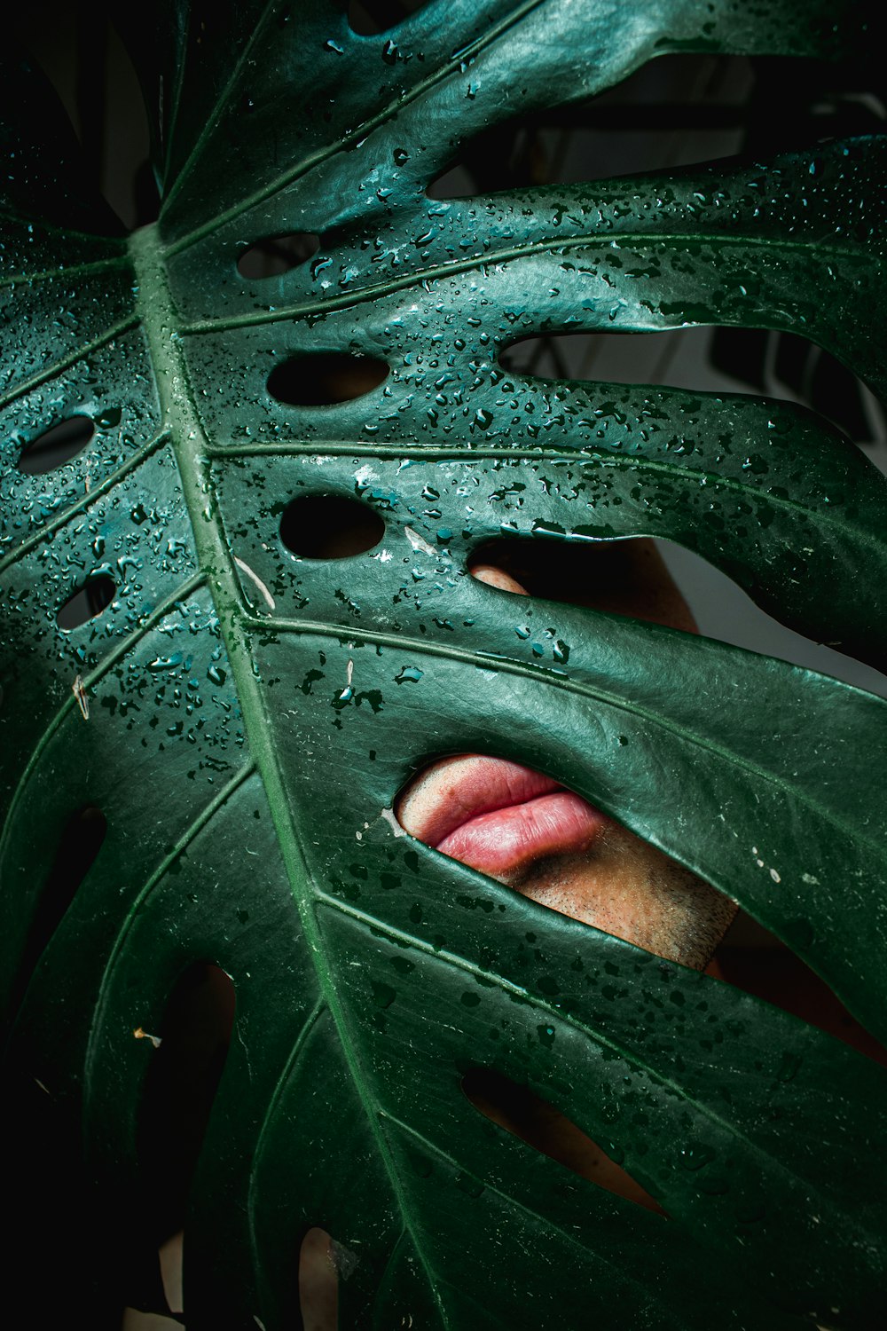 a woman's face peeking out from behind a large green leaf