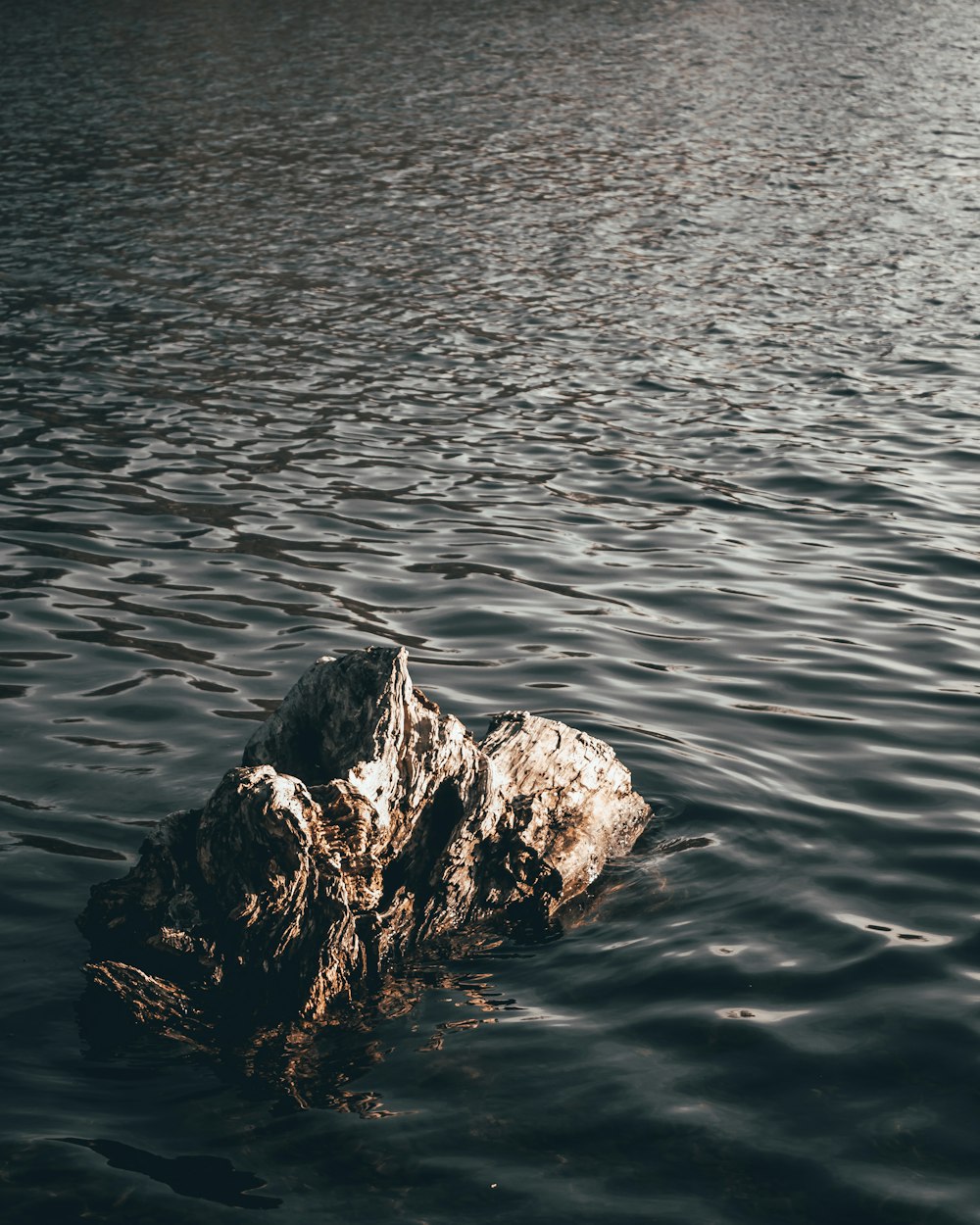 a rock in the middle of a body of water