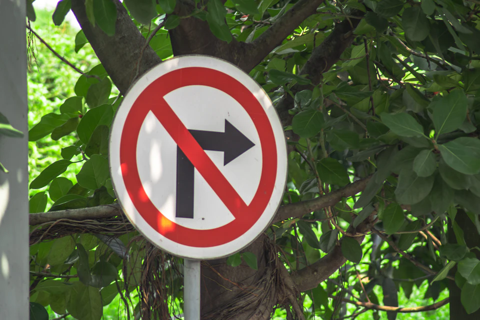 Red and white circular traffic sign mounted on a metal pole near a tree