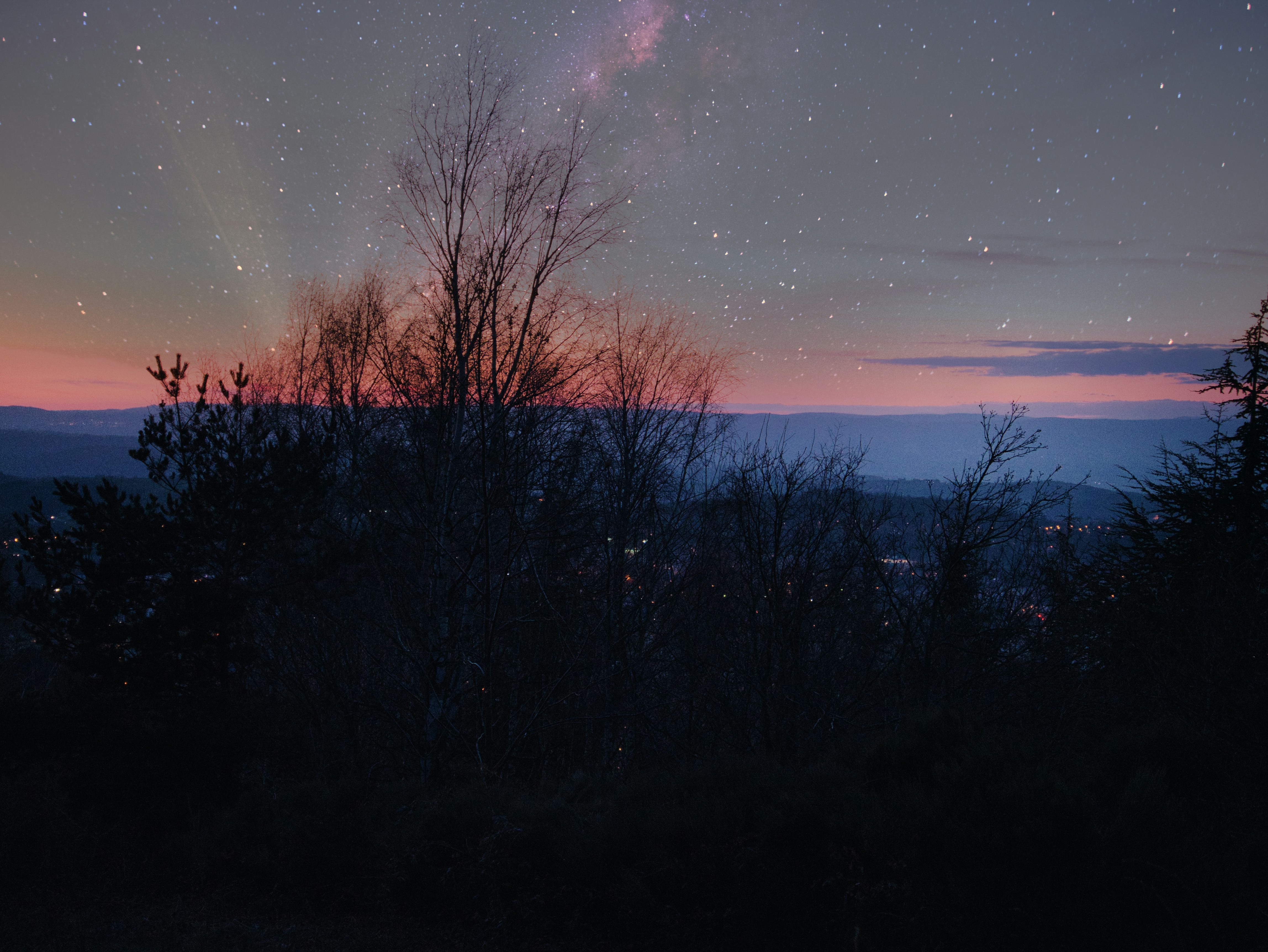 丘からの夜空