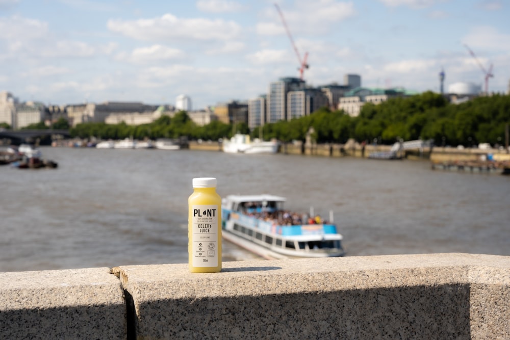 a bottle of mustard sitting on a ledge overlooking a river