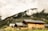 A series of wooden cabins with sloped roofs are nestled at the base of a lush, forested hillside. Thick clouds partially cover the hill, creating a misty atmosphere. The foreground is filled with tall grasses and small flowering plants, adding a rustic charm to the scene.