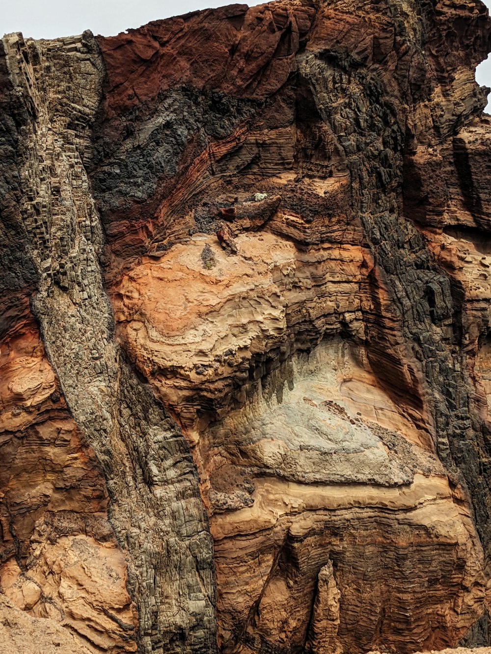 Un uccello è appollaiato su una formazione rocciosa