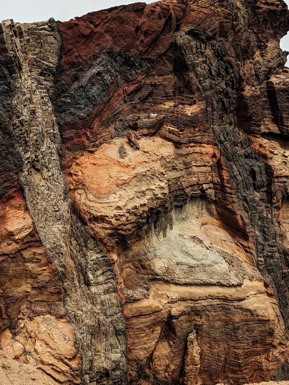 a bird is perched on a rock formation