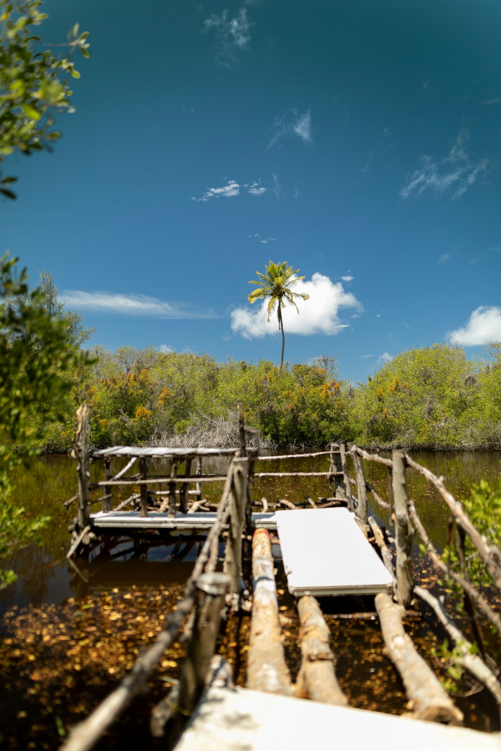 a wooden dock sitting on top of a river next to a lush green forest