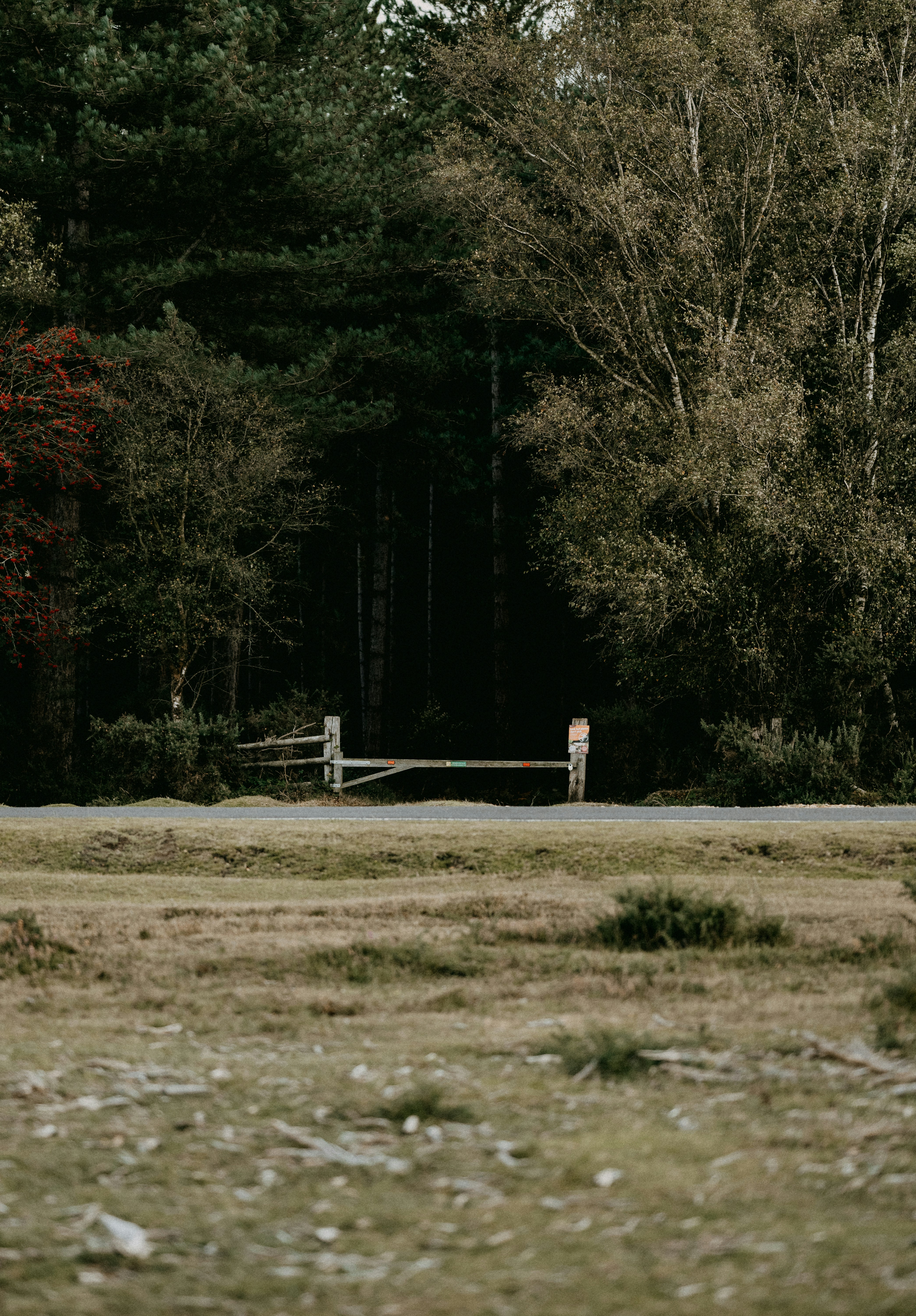 Photo by anniespratt