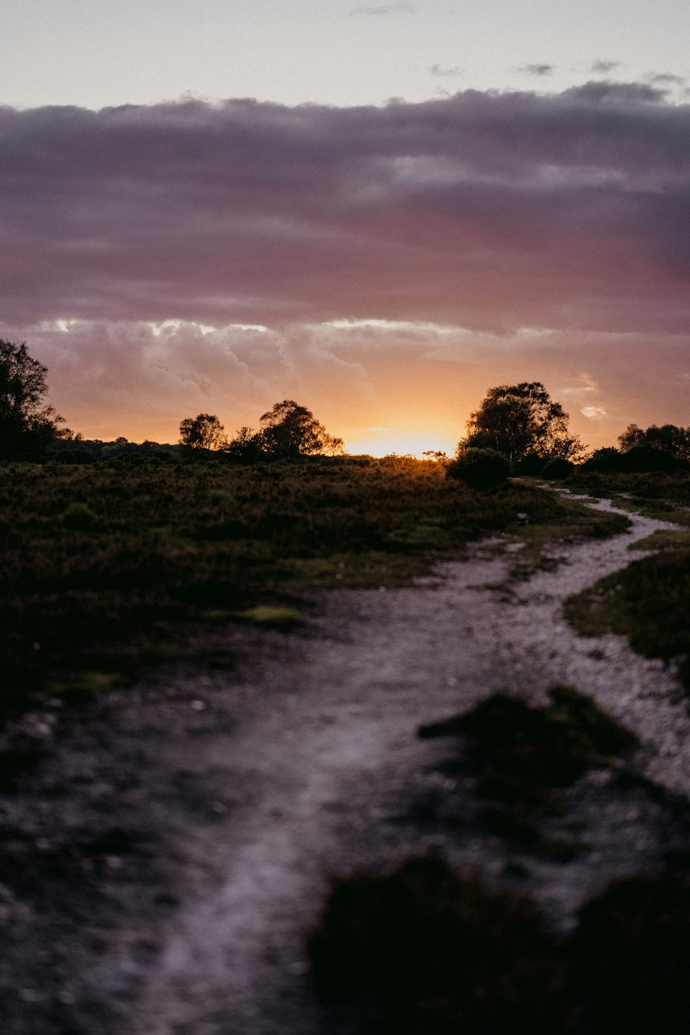 a path leading to a sunset in a field