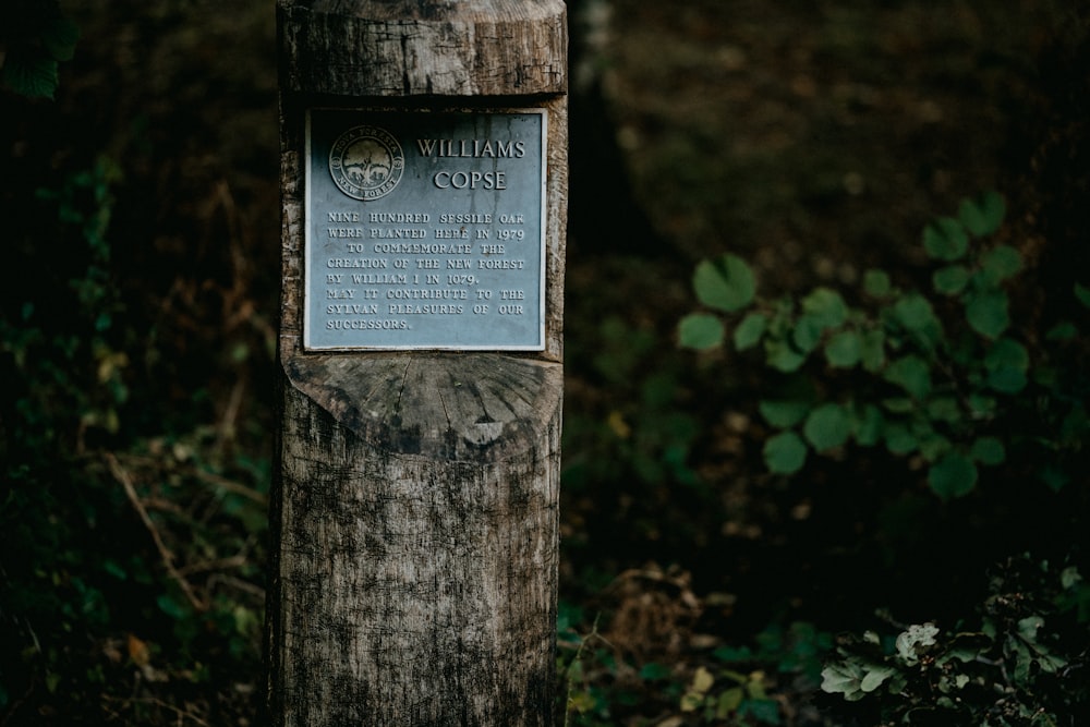 a sign in front of a forest