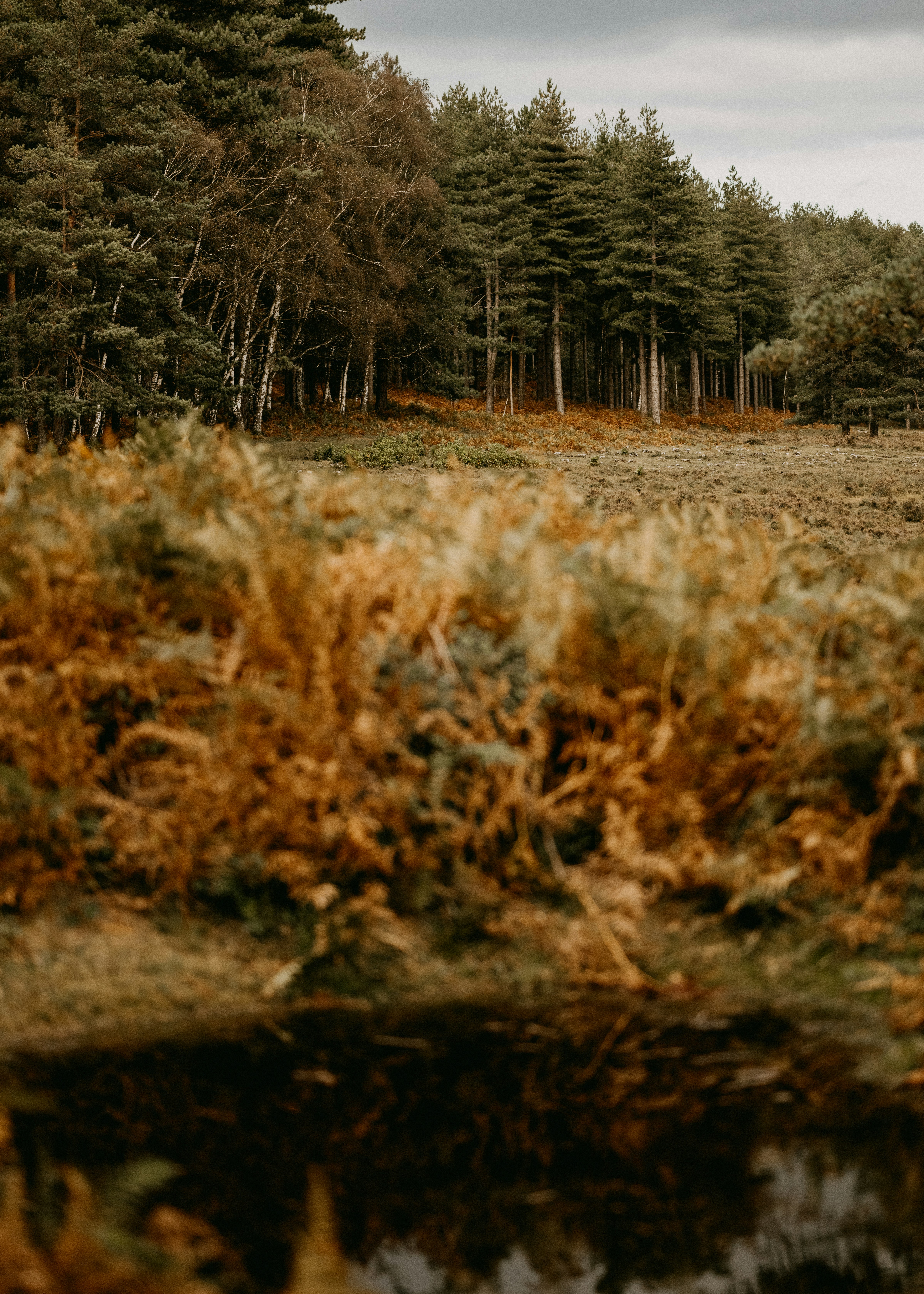 Photo by anniespratt