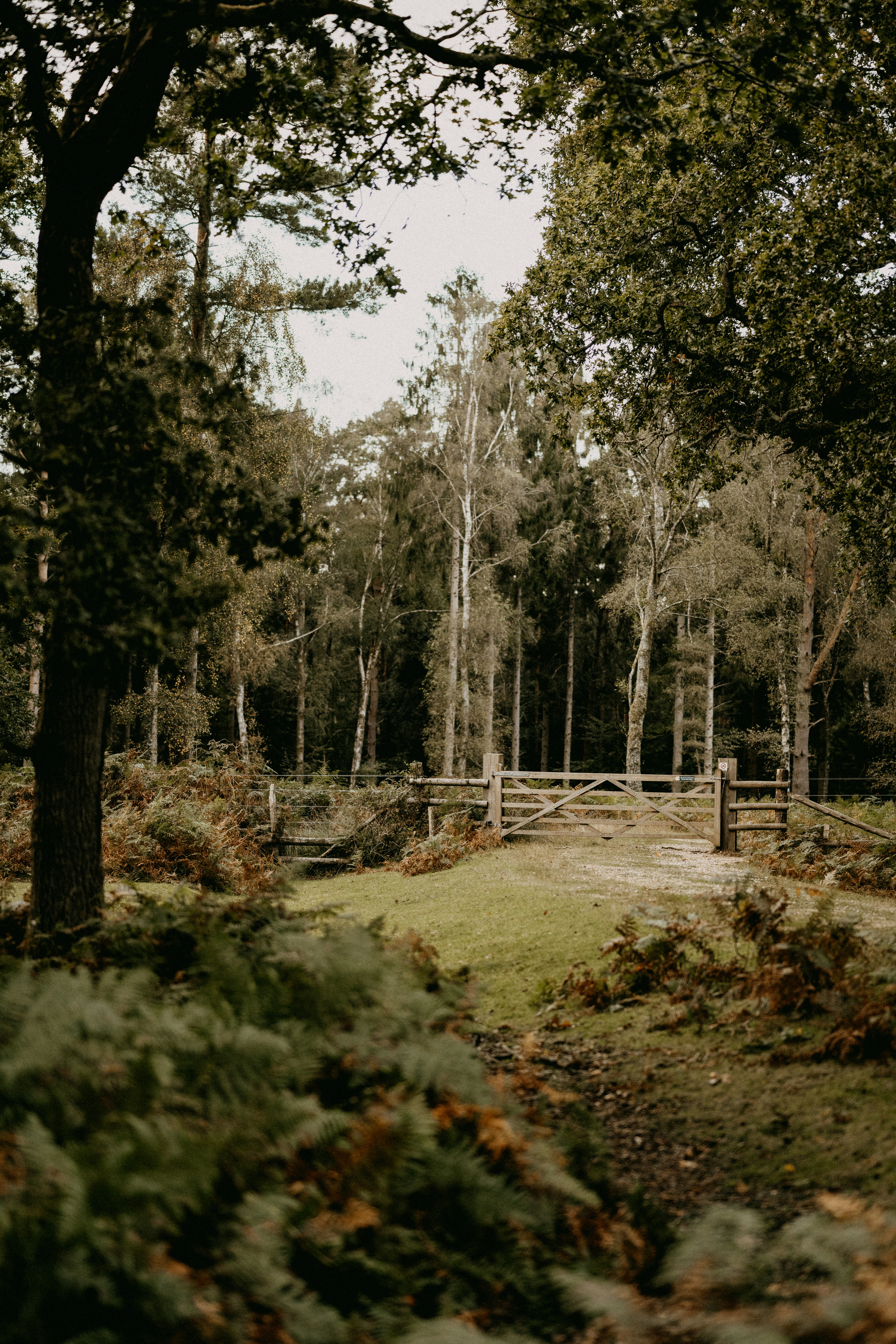 Photo by anniespratt