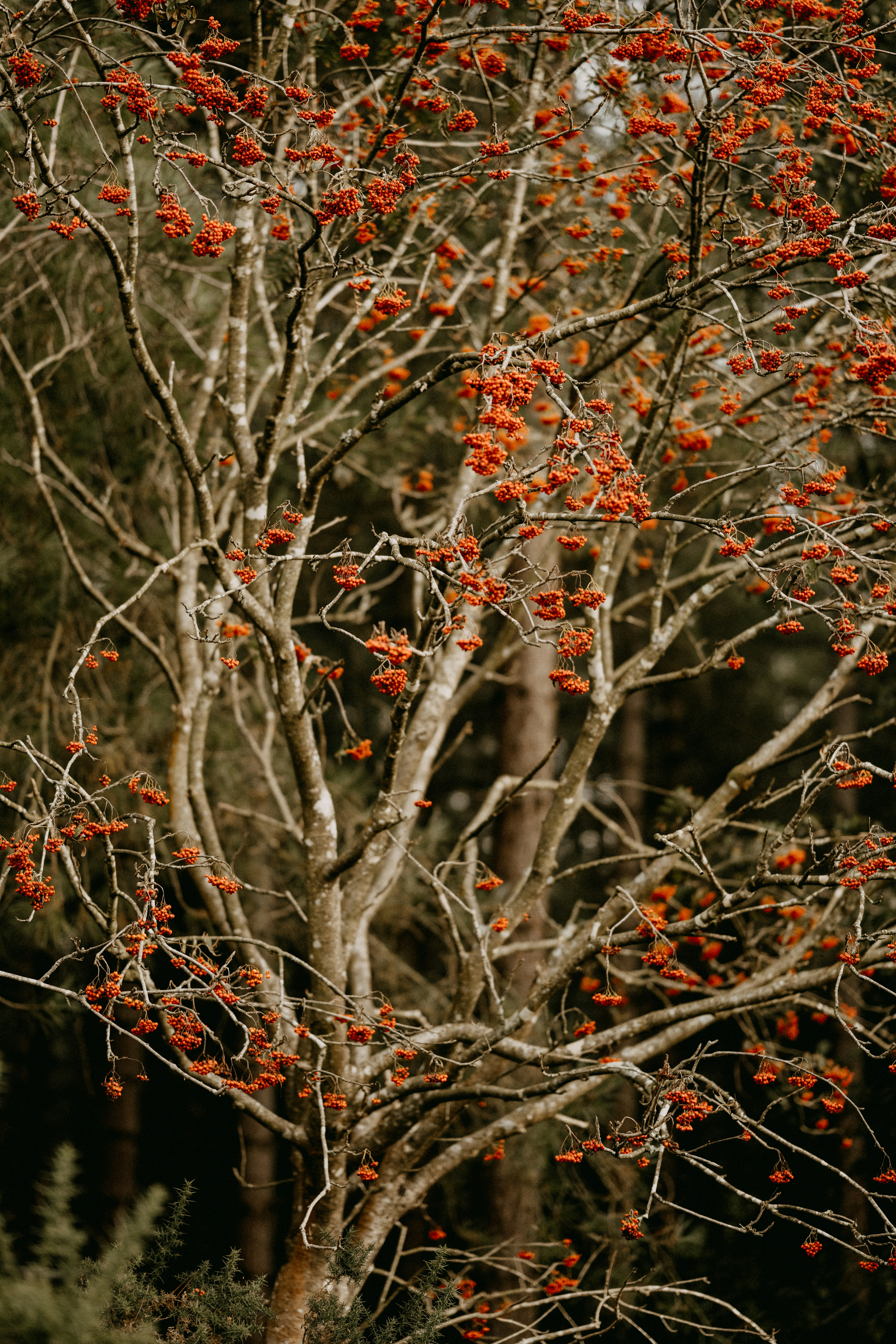 Photo by anniespratt