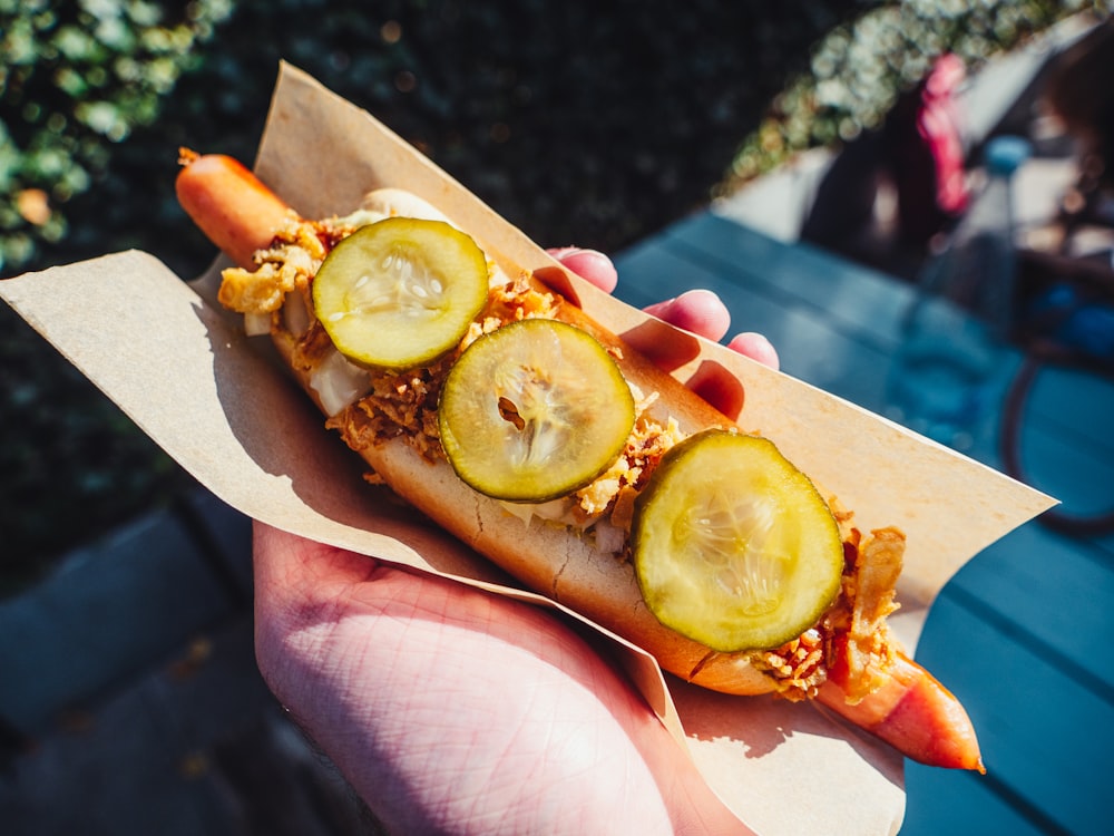 a person holding a hot dog with cucumbers on it