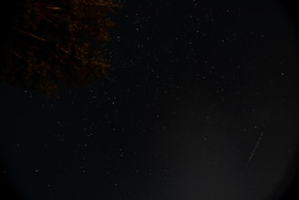 A dark night sky scattered with small, faint stars, partially obscured by silhouetted tree branches in the upper left corner. A thin, bright streak appears diagonally across the right side, possibly a meteor or satellite.