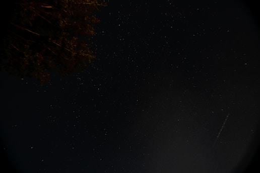 A dark night sky scattered with small, faint stars, partially obscured by silhouetted tree branches in the upper left corner. A thin, bright streak appears diagonally across the right side, possibly a meteor or satellite.
