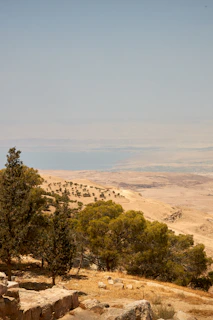 a view of a valley with trees and rocks