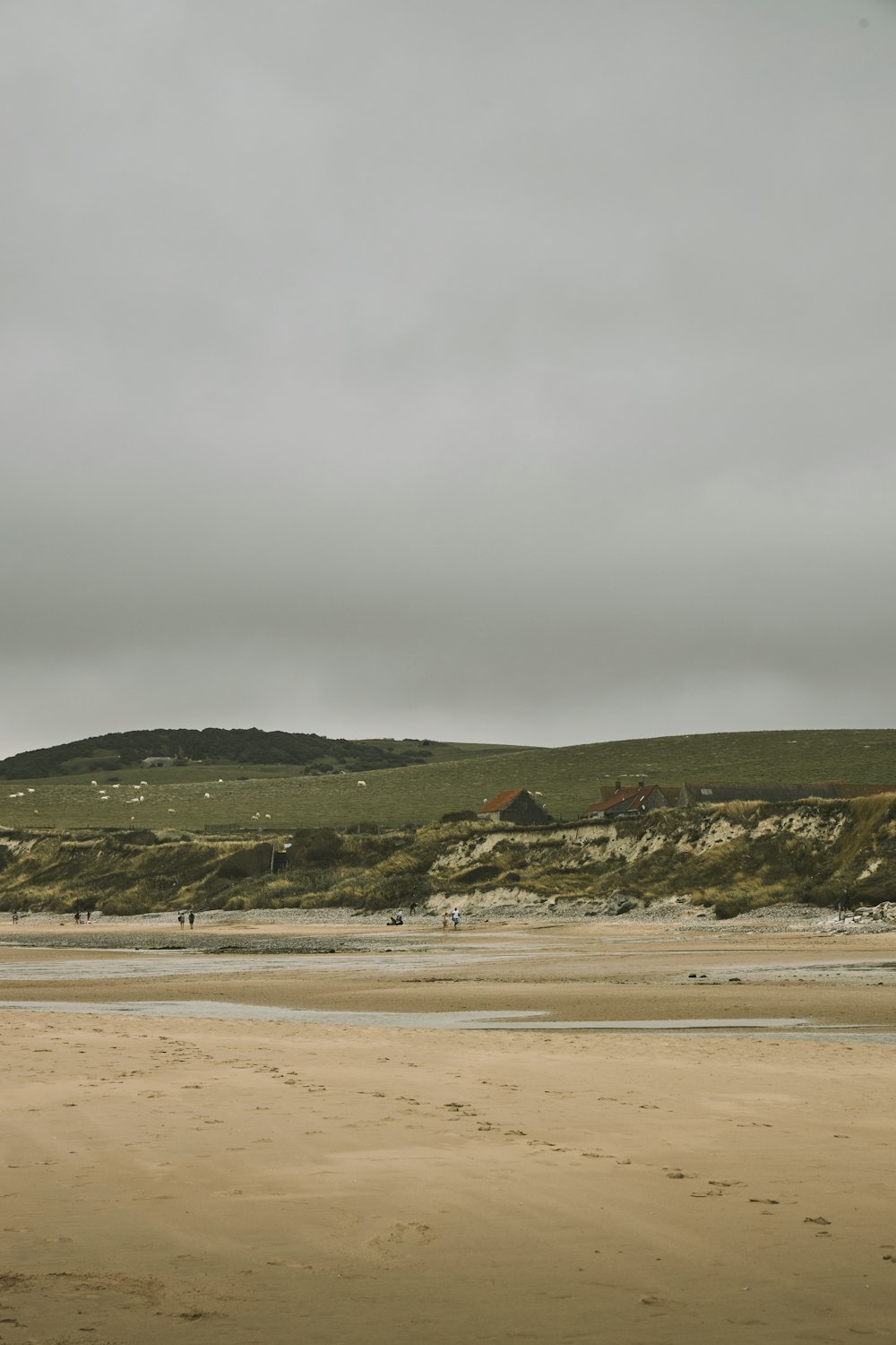 una persona sta facendo volare un aquilone sulla spiaggia