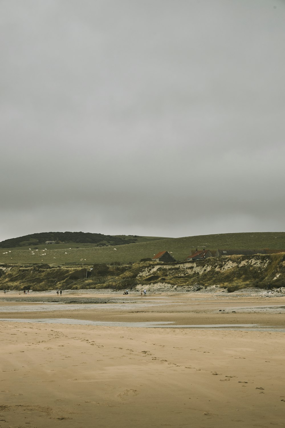 a person is flying a kite on the beach