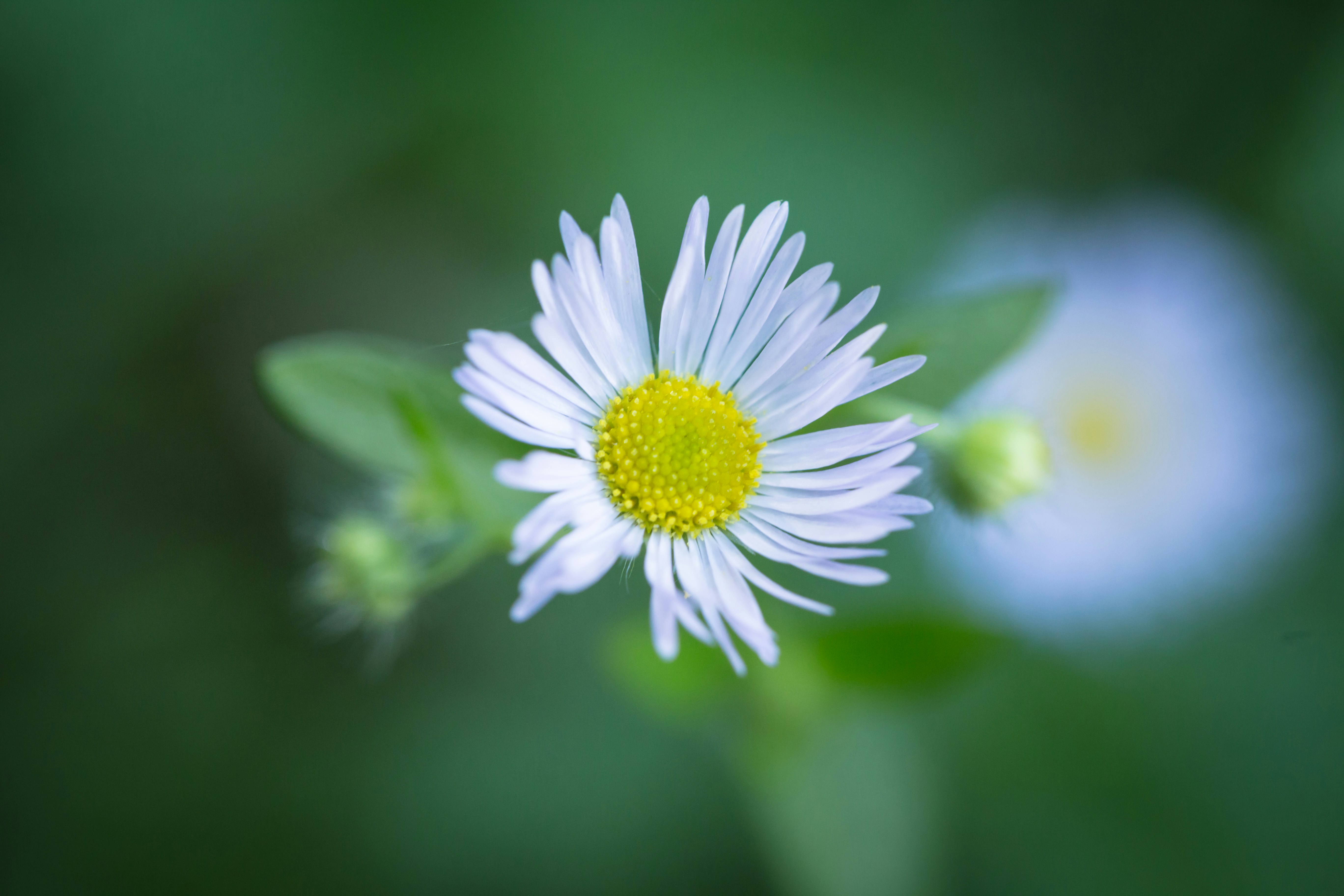 Photo by blooddrainer