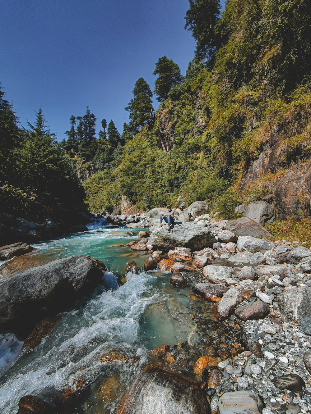 a man standing on a rock next to a river