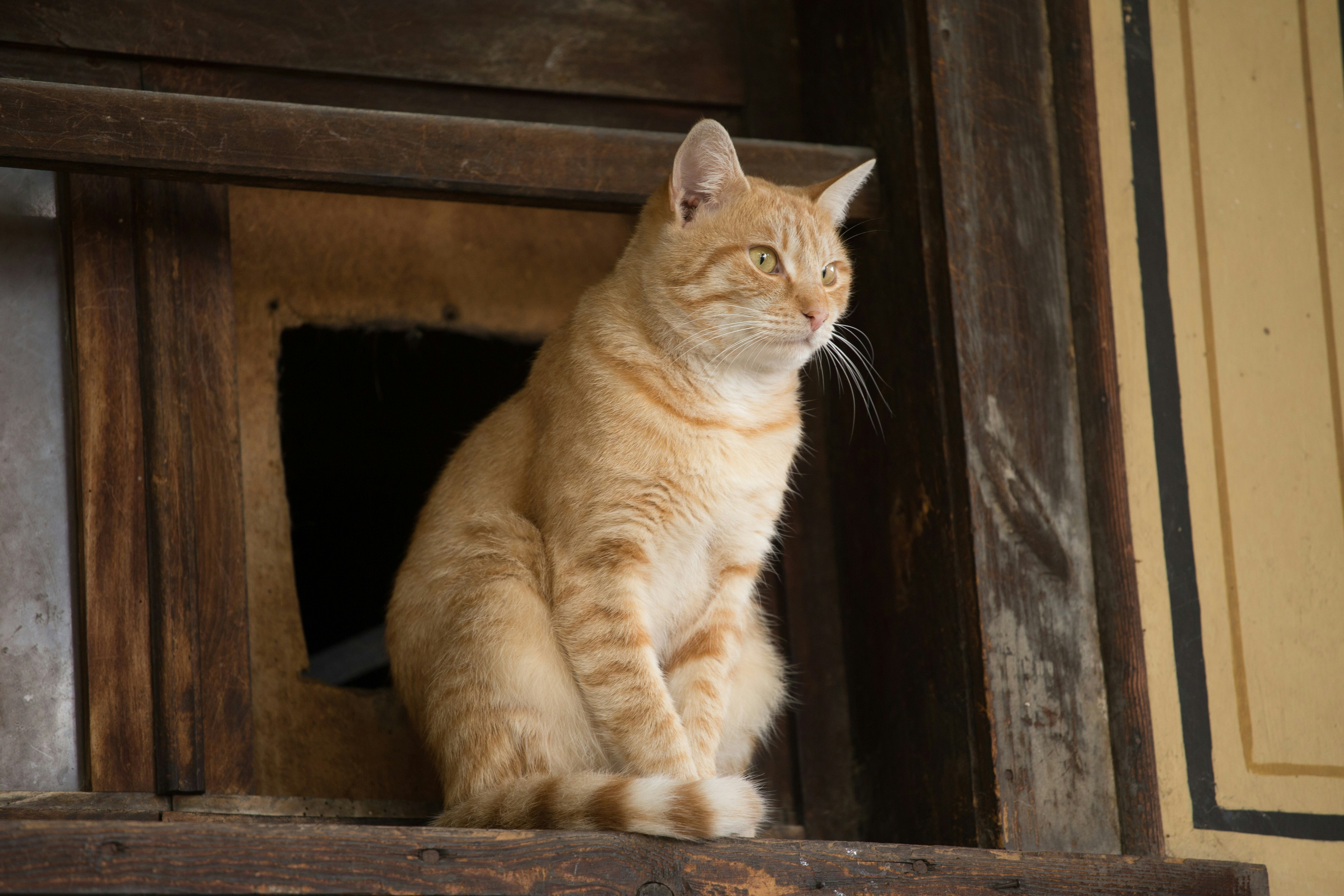 Photo by blooddrainer