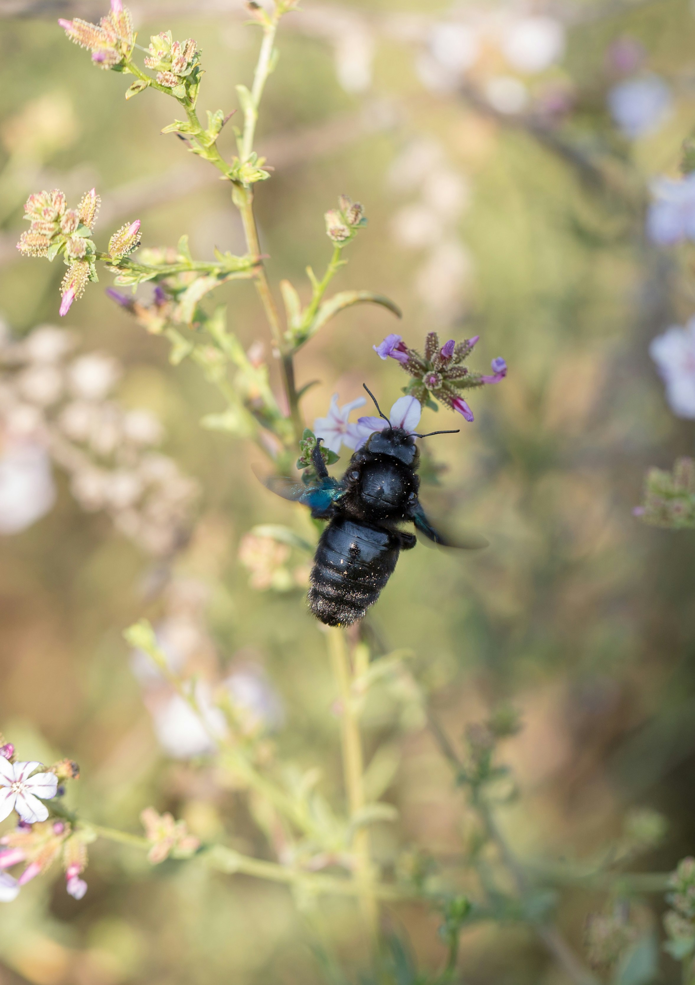 Photo by blooddrainer