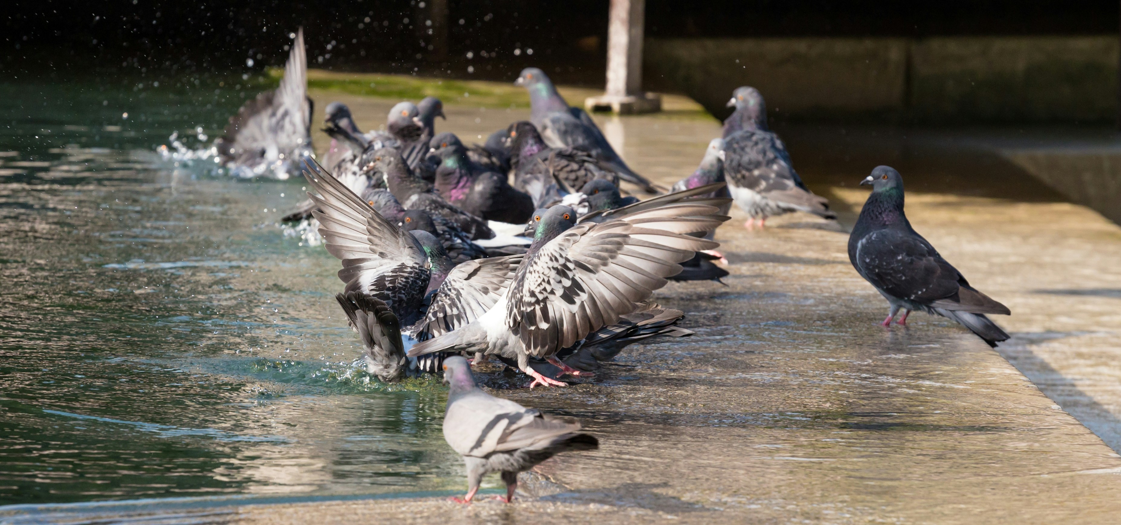 Pigeon Ponds, Victoria