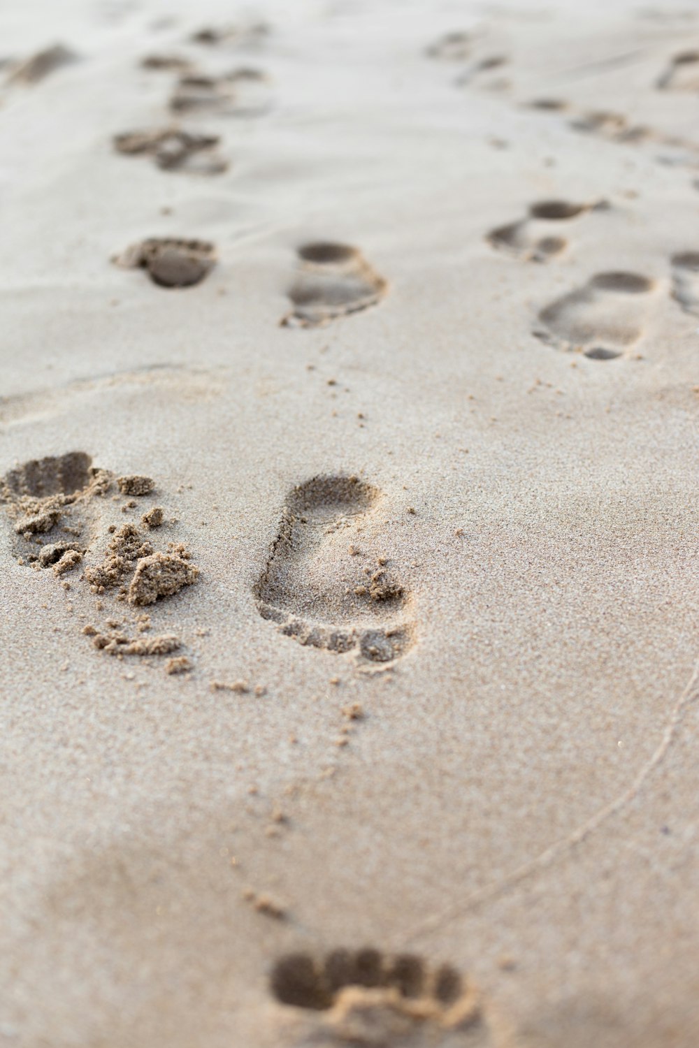 a dog paw prints in the sand on a beach