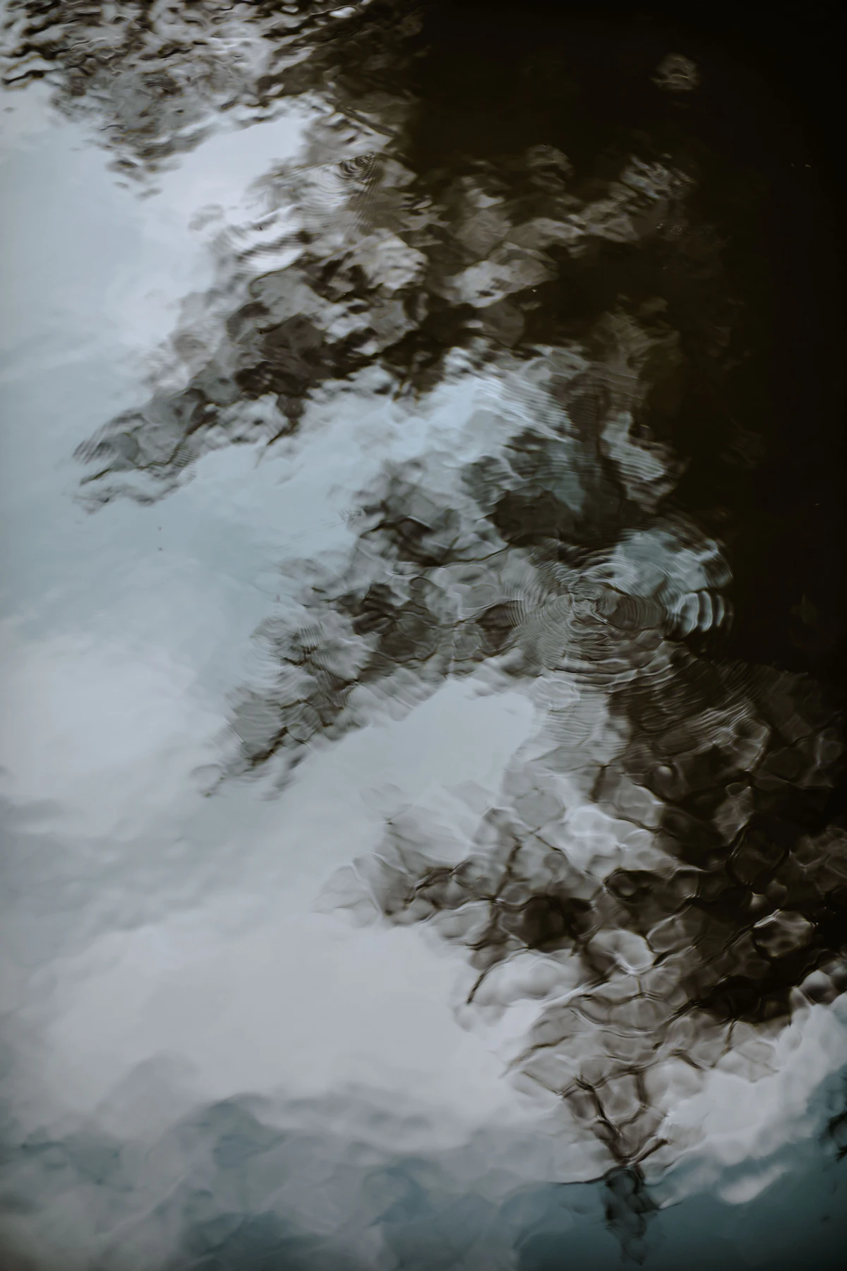 Reflection No. 4
