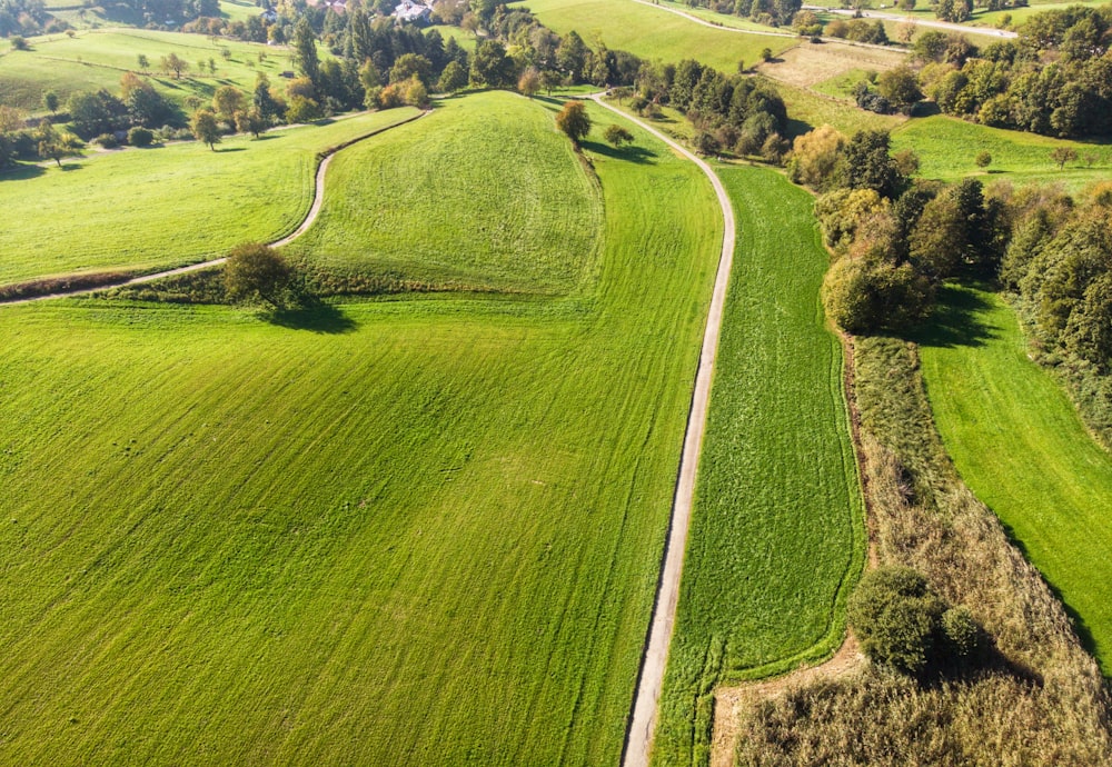 an aerial view of a lush green field