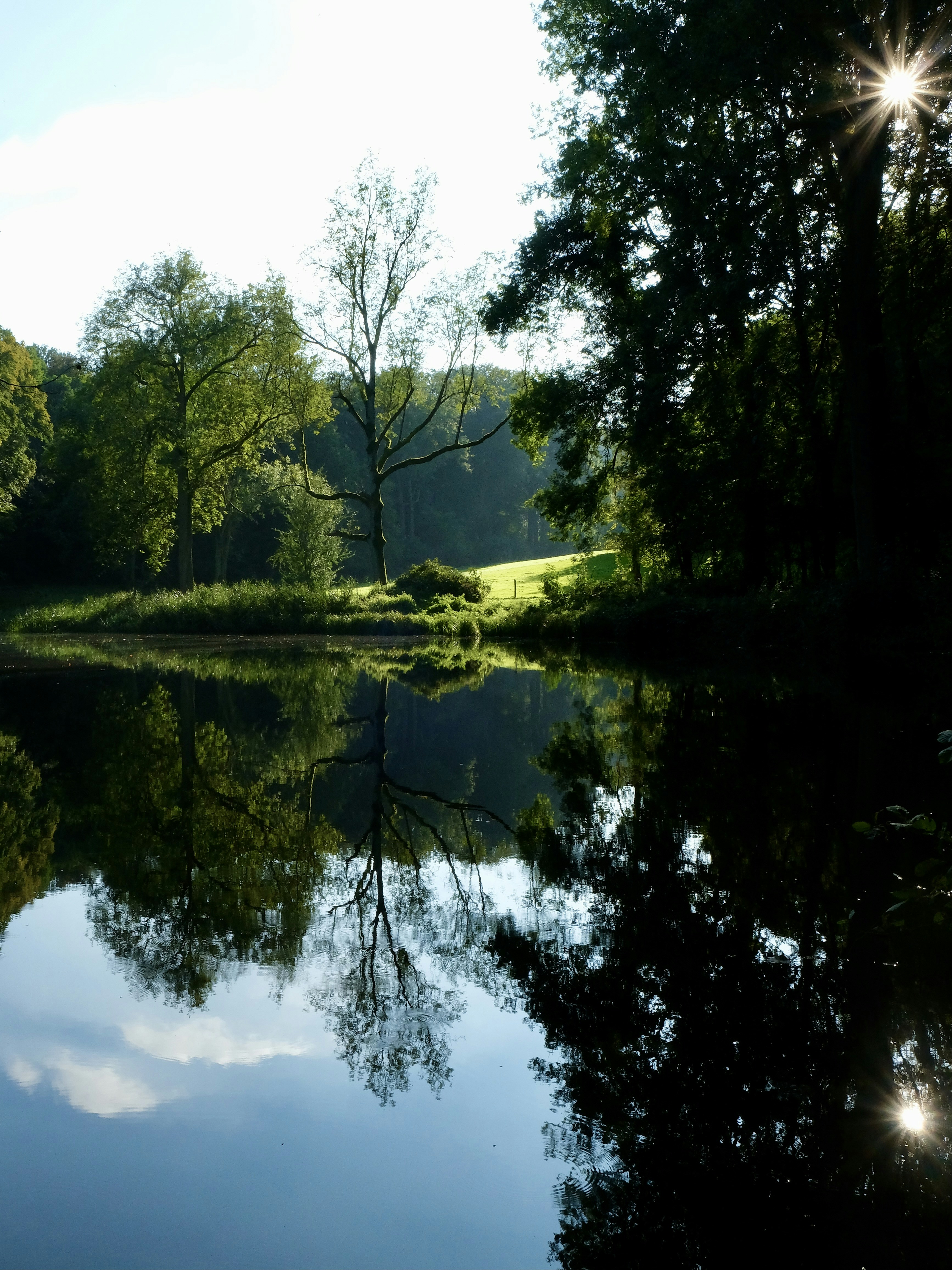 Photo by peter_heymans