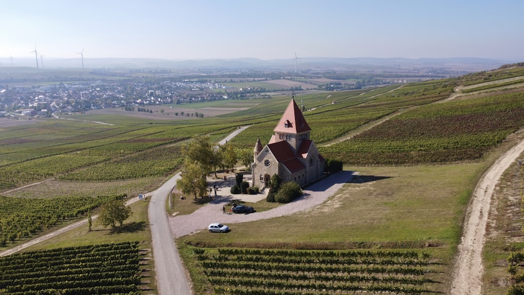 an aerial view of a church in a vineyard,