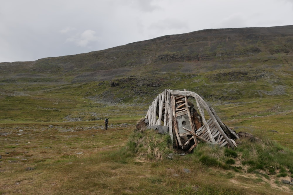 a pile of wood sitting on top of a lush green hillside