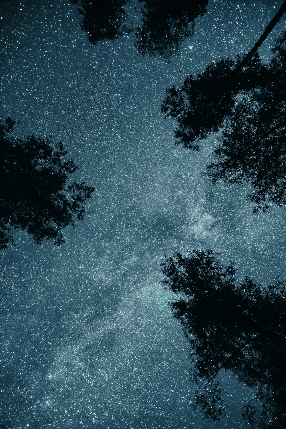 the night sky is filled with stars and trees