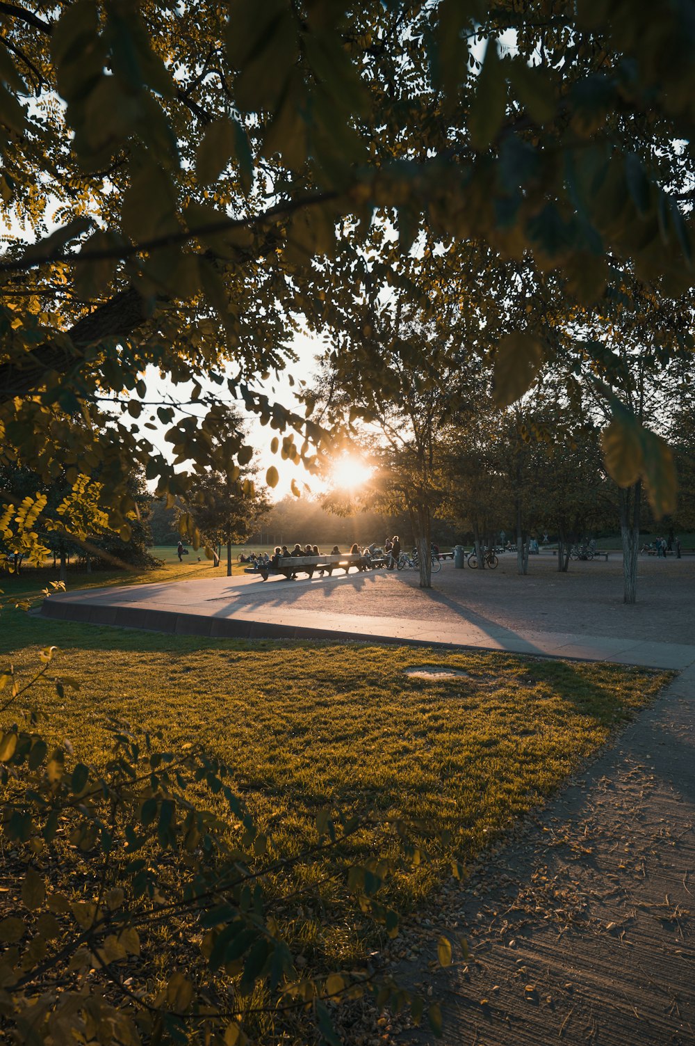 a group of benches sitting on top of a lush green field