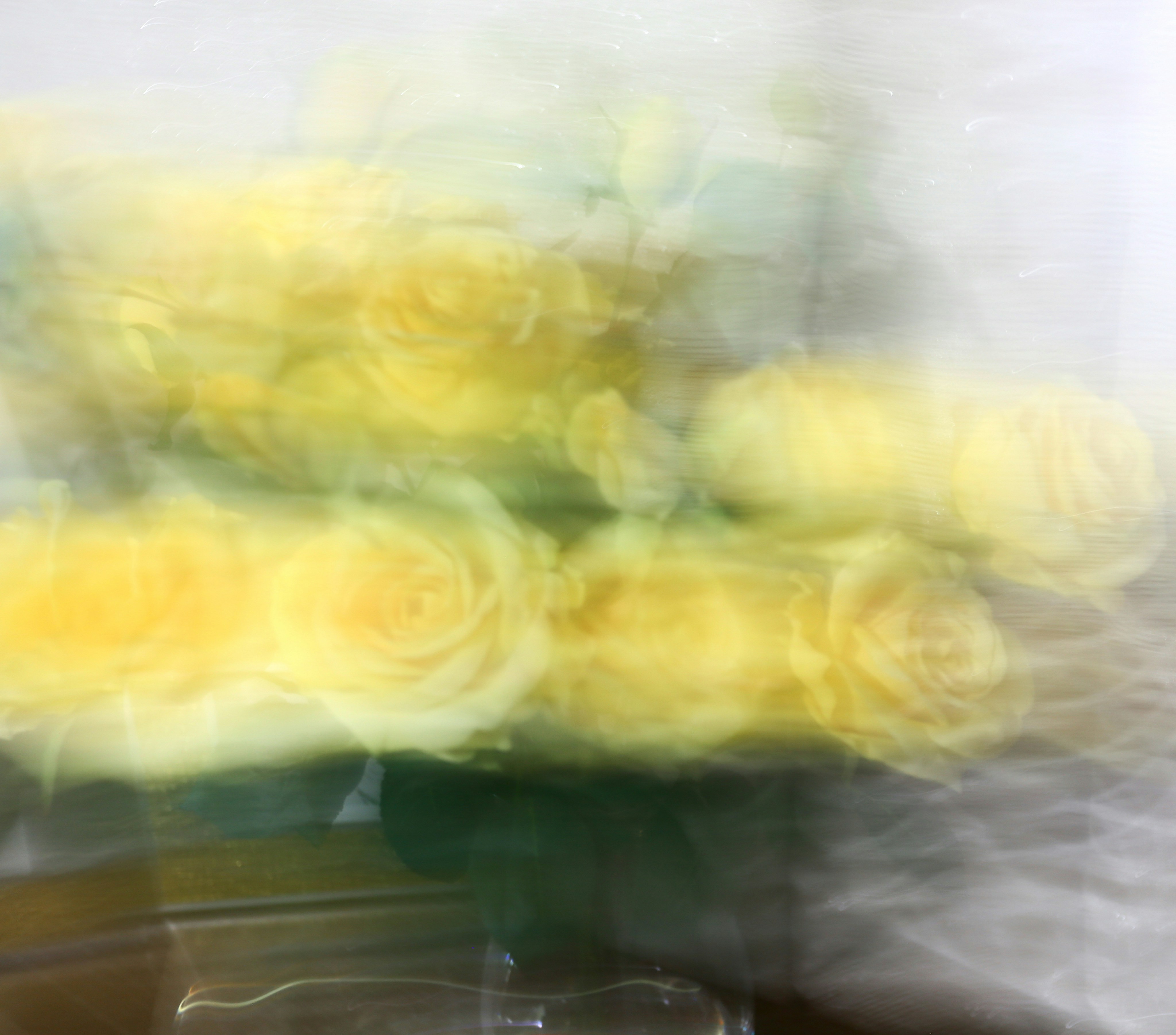 Photo by hectorfalcon