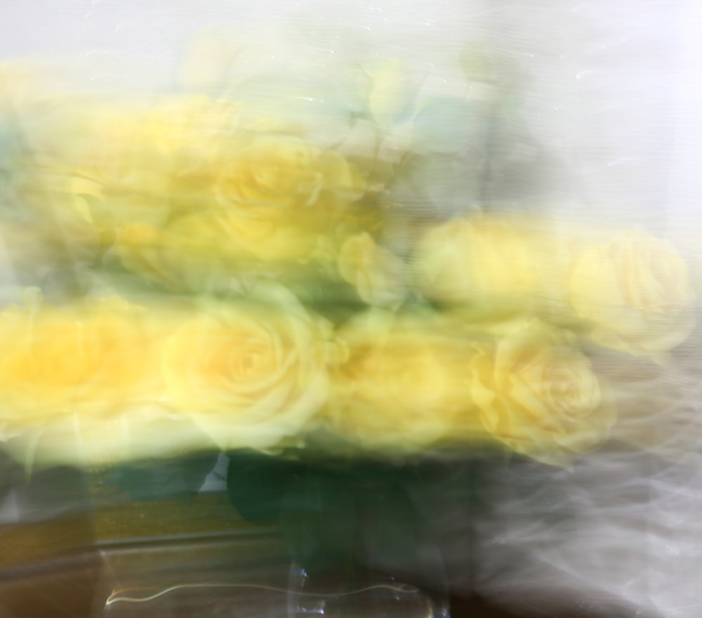 a blurry photo of yellow roses in a vase