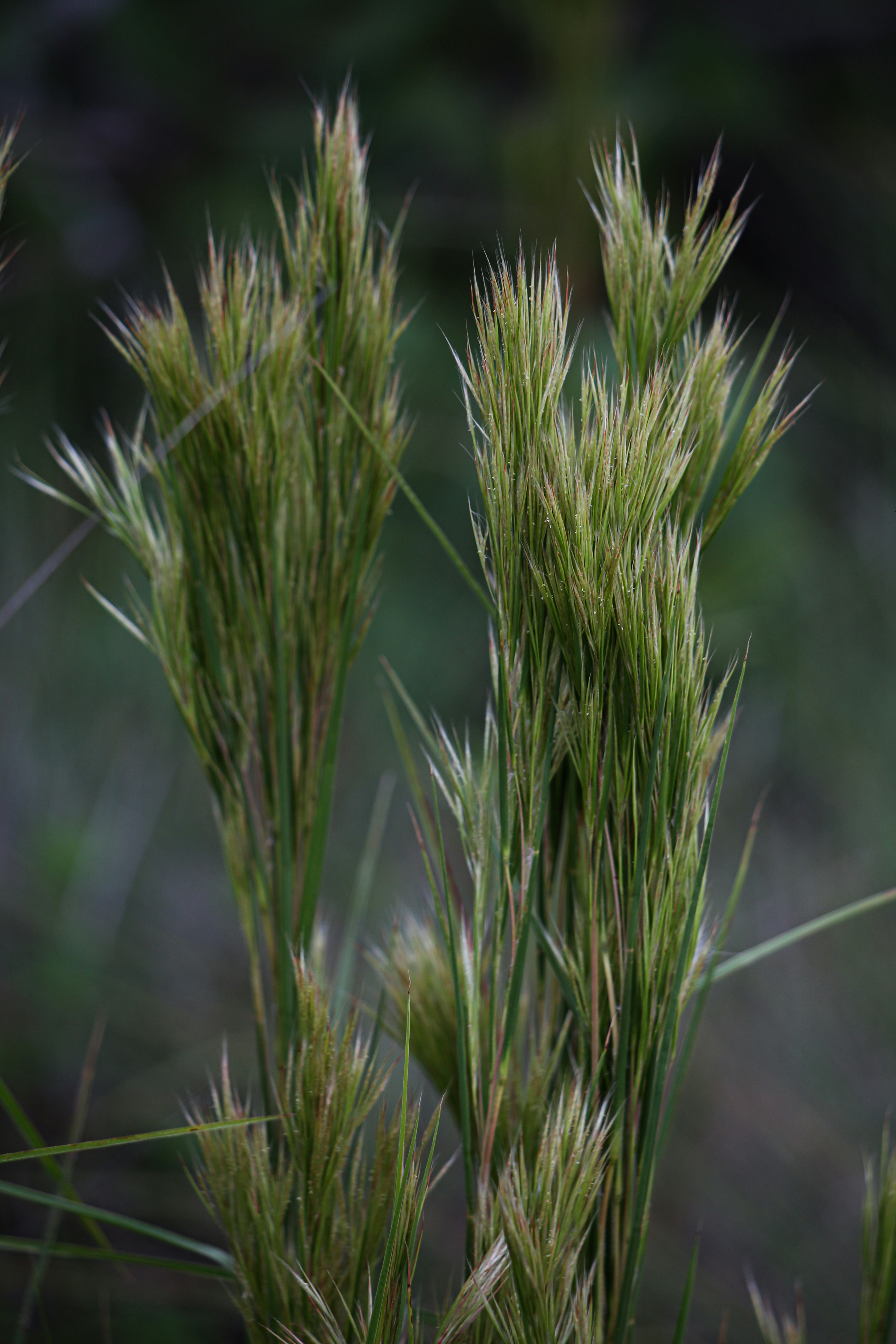 Photo by hectorfalcon