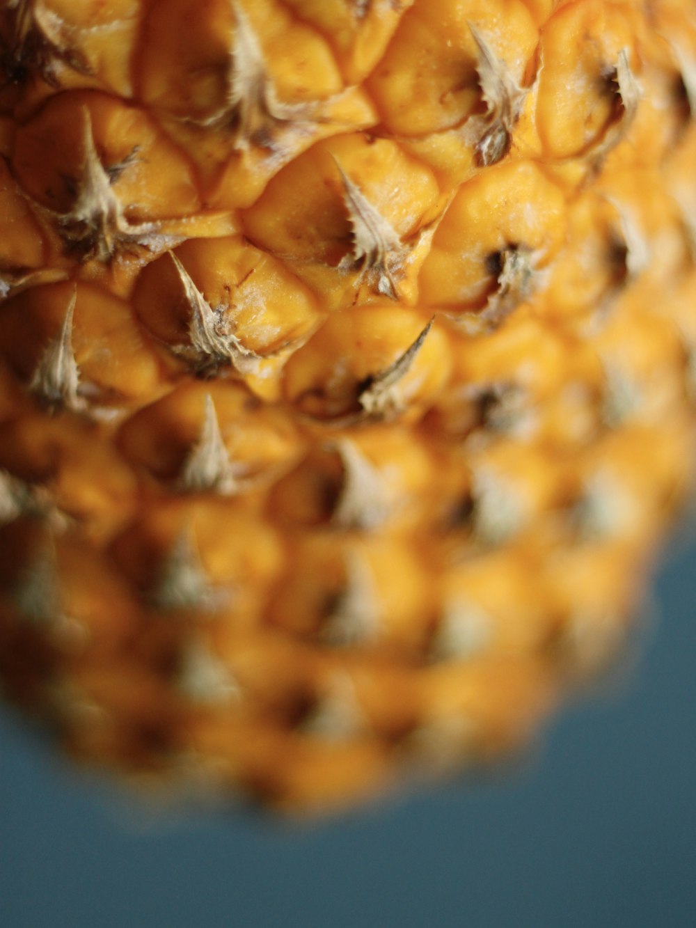 a close up of a pineapple fruit on a blue background