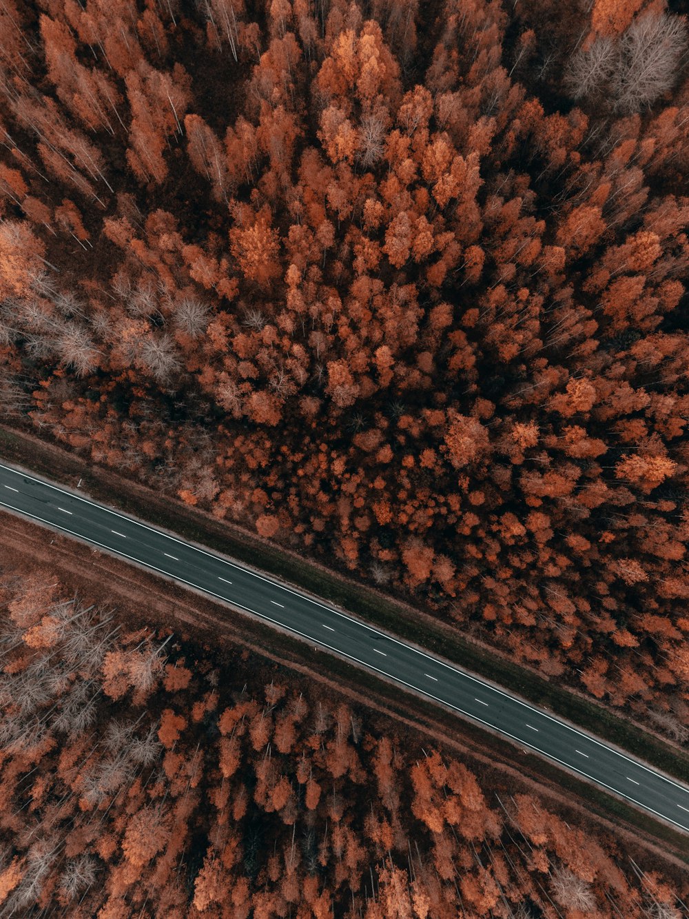 an aerial view of a road surrounded by trees