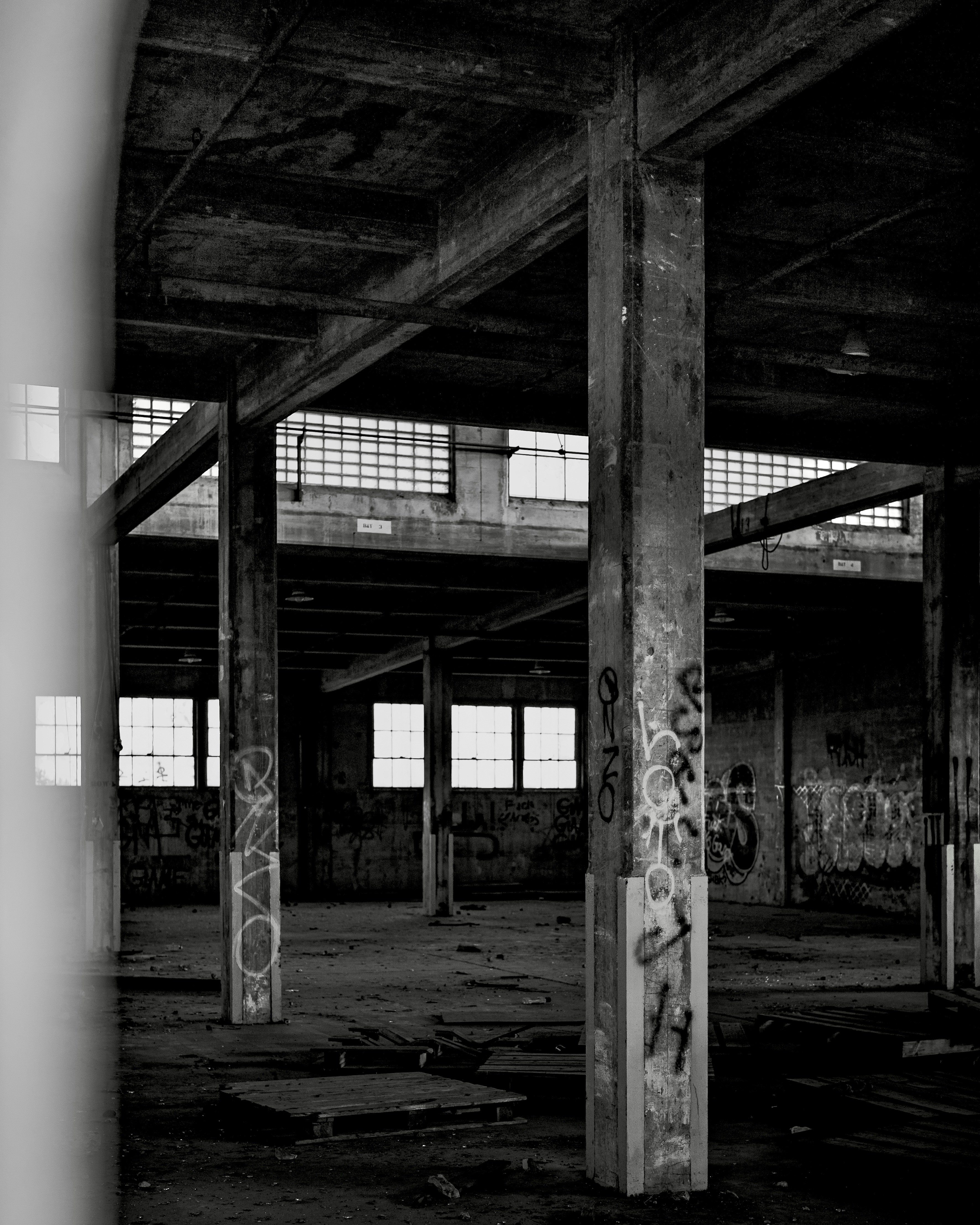 Photo by kalaniparker