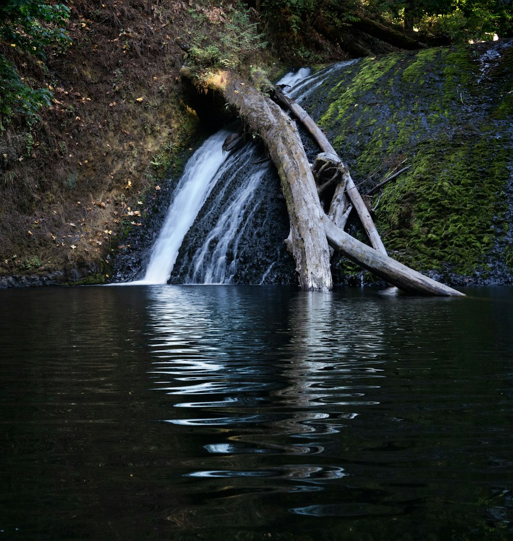 a waterfall with a fallen tree sticking out of it
